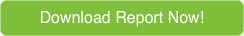 DownloadReportLandingPageButton.png