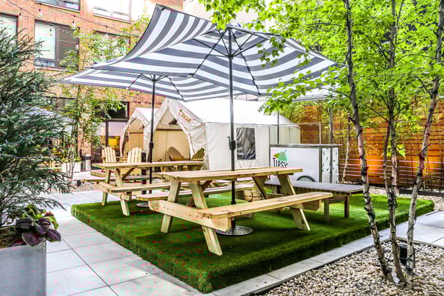 Sumer Camp Arlo 1[3].jpg