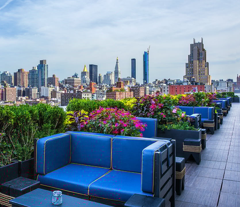 PHD-terrace