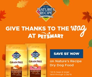 Nature's Recipe @ Petsmart 11.14.18 300x250 v1